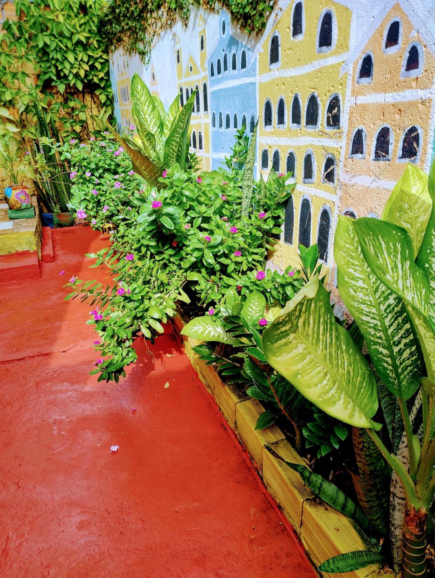 Perto Do Aeroporto De Salvador - Dona Pitanga Hostel Lauro de Freitas Extérieur photo