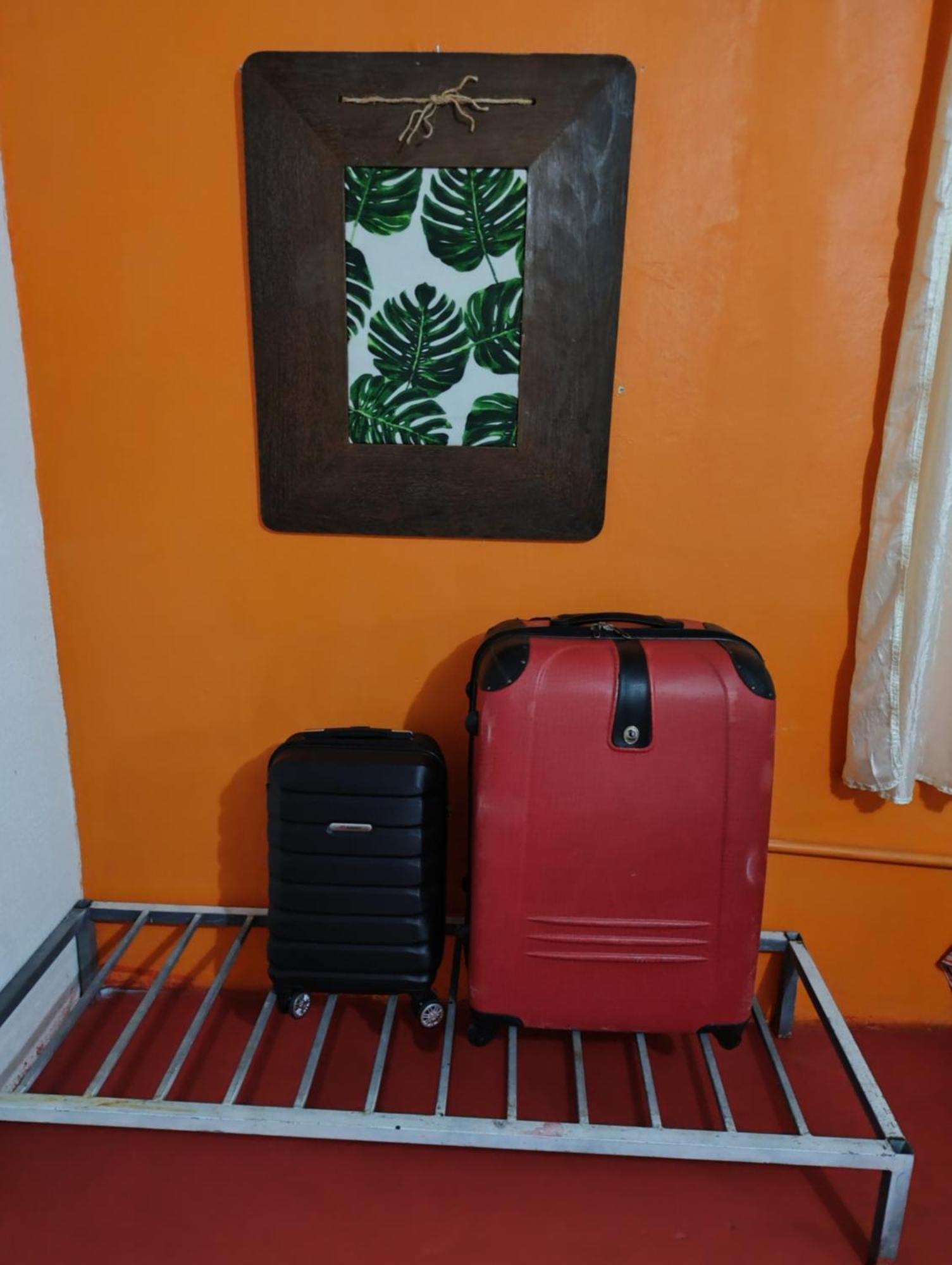 Perto Do Aeroporto De Salvador - Dona Pitanga Hostel Lauro de Freitas Extérieur photo